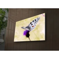 Zidna slika sa LED osvetljenjem 4570IACT-67, 45x70 cm