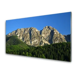 tulup.si Steklena slika Mount forest narava 100x50 cm 2 obešalnika
