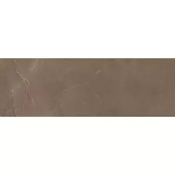 Elegant Mocha 20x60cm