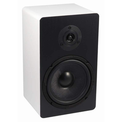 BSA SONUS100W-100V