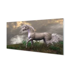 tulup.si Steklena slika Unicorn oblaki 100x50 cm 4 obešalnika