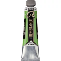 Rembrandt Oil Paint 40 ml Permanent Green Medium