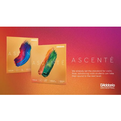 DADDARIO ASCENTE SET ZA VIOLINO 1/4 MEDIUM
