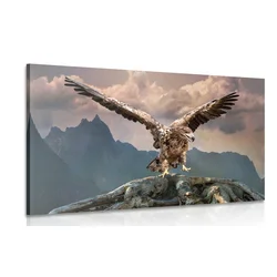 Slika orel z razprtimi krili nad gorami - 40x30