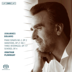 BRAHMS:PIANO MUSIC/PLOWRIGHT