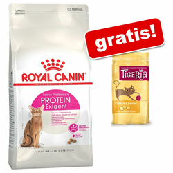 10 kg Royal Canin + Tigeria tablete za mačke besplatno! - Maine Coon Kitten