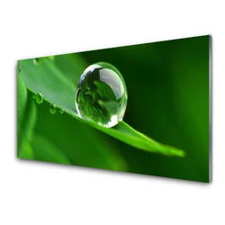tulup.si Steklena slika Rastlin leaf water drops 100x50 cm 4 obešalnika