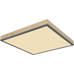 LED PLAFONJERA