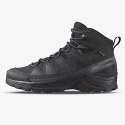 Salomon Quest Rove Gtx