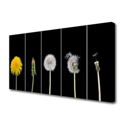 tulup.si Slika na platnu Dandelion rastlin 125x50 cm