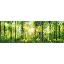 Slika Marcus 150x50x3cm