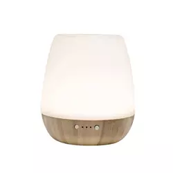 Stona ultrazvučna aroma lampa AD20