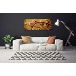 tulup.si Slika na platnu Dragonfly narava rastlin 120x60 cm