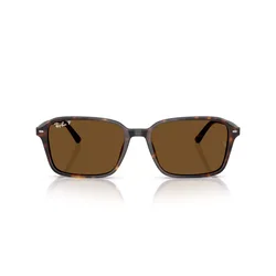 Ray-Ban Raimond Naočare za sunce RB 2231 902/57