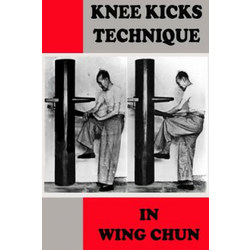 Knee kicks technique in Wing Chun