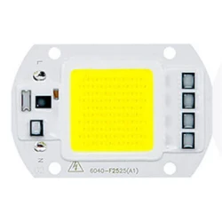 Led Chip 20W 220V