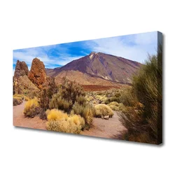 tulup.si Slika na platnu Rastline rocks mountains landscape 120x60 cm