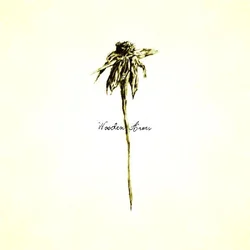 Patrick Watson - Wooden Arms (Reissue) (140 g) (LP)