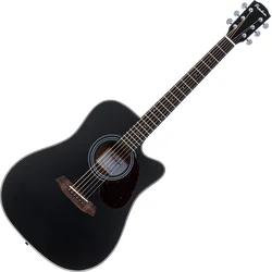 Pasadena PDC-200 Black Akustična kitara (Kot novo)