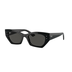 Ray-Ban Zena Naočare za sunce RB 4430 667787