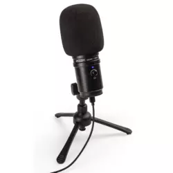 ZOOM ZUM-2 | Dynamic Large Diaphragm Usb Microphone