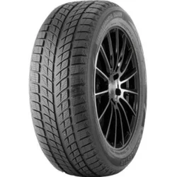 Double Star DW09 ( 235/55 R17 99T )