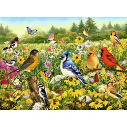 Ravensburger - Puzzle Ptičji travnik - 500 kosov