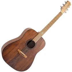 Randon RGI-10VT Akustična kitara