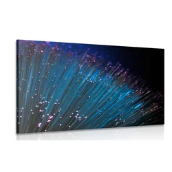 Slika optična vlakna - 90x60