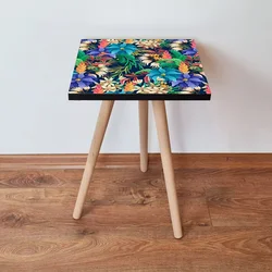 Hanah Home Klub sto Shp214, 35x42x35 cm, Šareni
