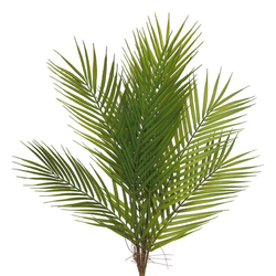 Umetna palma Areka 60cm šop
