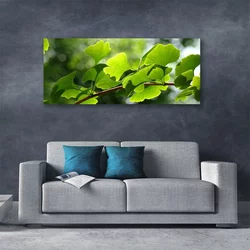 tulup.si Slika na platnu Listi narava vej 140x70 cm