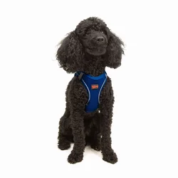 Paws & Whiskers Am za pse Air-Mesh, Plavi