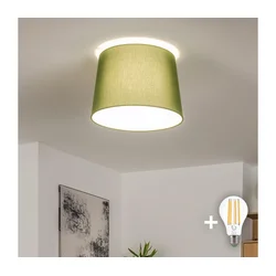Brilagi - LED prislonjeni luster CERIA 1xE27/40W/230V prečnik 30 cm zeleni