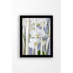 Wallxpert SC0173 Dekorativna slika, 41x56cm