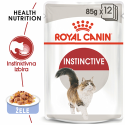 ROYAL CANIN Instinctive vlažna hrana u želeu za mačke 12x85g