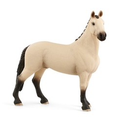 Schleichov hanoverski kastrat