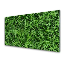 tulup.si Steklena slika Trava lawn 120x60 cm 2 obešalnika
