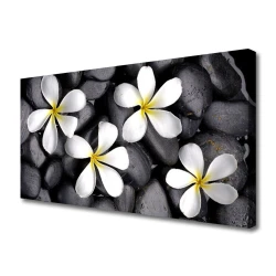 tulup.si Slika na platnu Cvetovi rastlin narava 140x70 cm