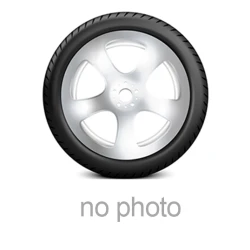 letna pnevmatika TEGRYS 315/80 R22.5 156K TE68S