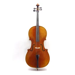 Violončelo 4/4 Antique Basic Strings