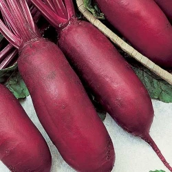 RDEEA PESA CYLINDRA 10gr