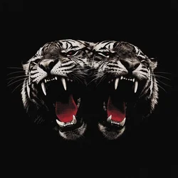 Royal Blood - Dead Company (140 g) (LP)