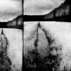 Tenebrous Liar - the cut (LP)
