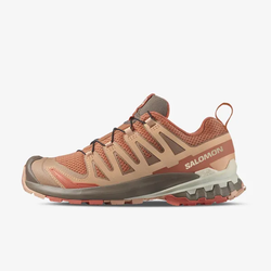 Salomon XA PRO 3D V9 W