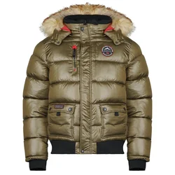Geographical Norway BUGS Kaki