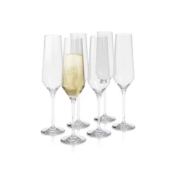 Komplet kozarcev za šampanjec Eva Solo Legio Nova 260 ml 6-pack