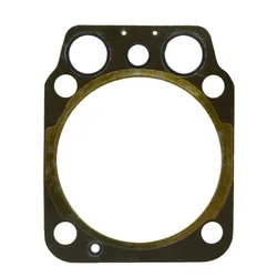 Granit Tesnilo glave valja 1,4 mm za SAME DEUTZ 0,015,9191,0