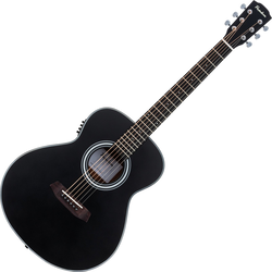Pasadena PT-100E Black Ostale elektroakustične