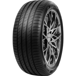 Delinte DS2 SUV ( 275/55 ZR20 117W XL )